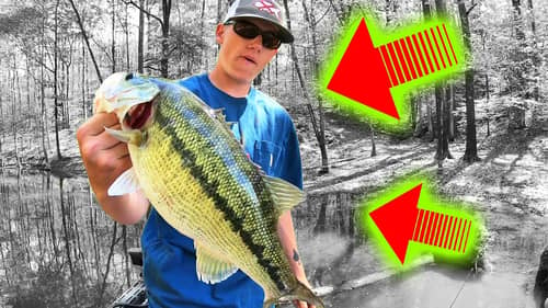 HE Caught the LAKE RECORD Bass (TWICE) in a Fishing TOURNAMENT!!!
