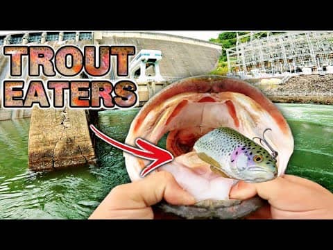 I Waited 10 YEARS to Catch These TROPHY Fish!! (Mountain Trout Eaters)