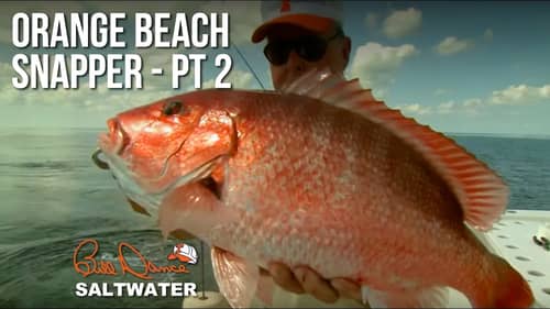 Orange Beach Snapper Pt 2 | Bill Dance Saltwater