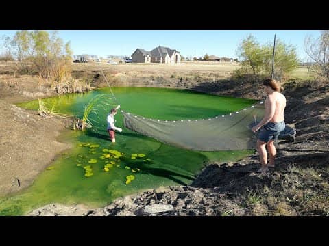 My Backyard Pond Is In Trouble... (Rescuing My Pet Bass)