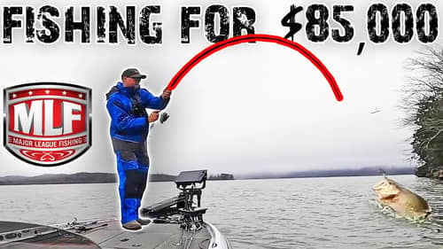 MLF BASS TOURNAMENT on LAKE GUNTERSVILLE! FISHING FOR $85K! (EARLY SPRING)