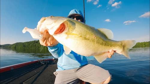 How To Find And Catch Summer Bass! (Big Swimbaits, Flutter Spoons, And Topwater Tips)