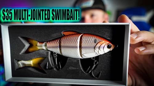 UNBOXING: The Best Swimbait For The Money?! New Divine Swimjig Colors!!!