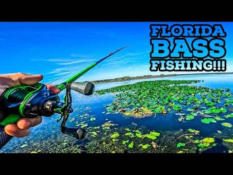 BASS FISHING Florida During an INSANE Cold FRONT!!! || Freezing Temps w/ @ADUB1