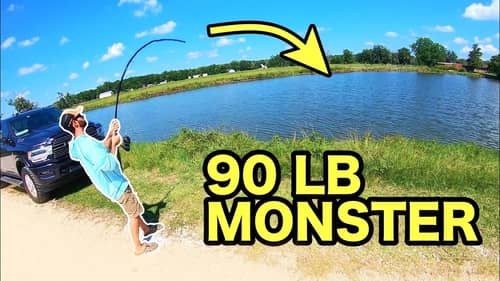 The BIGGEST FISH I’ve EVER SEEN IN A POND!!