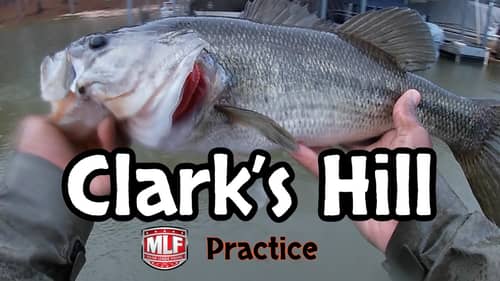 Rainy Fishing Day - Clark's Hill Major League Fishing Practice