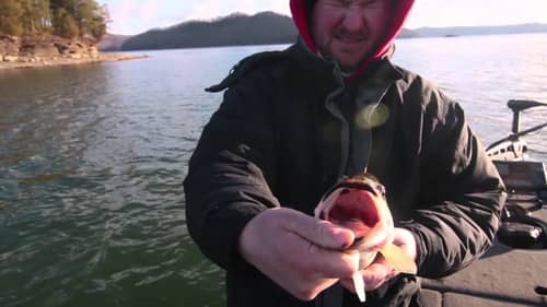 How to Fish Bluff Banks in the Winter