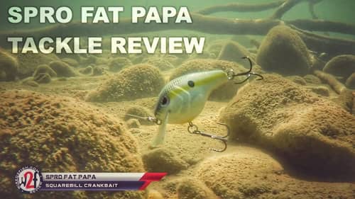 SPRO Fat Papa Squarebill Crankbait Underwater Video