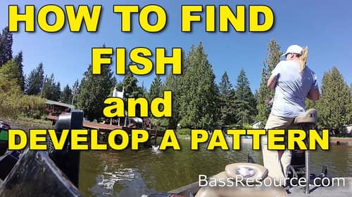 How To Find Fish & Develop A Pattern | Bass Fishing