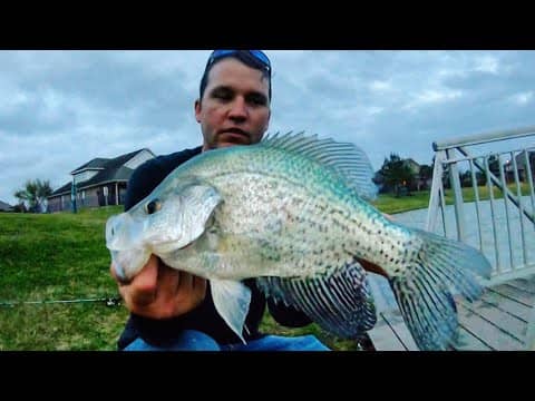 Catching PB CRAPPIE from the DOCK!