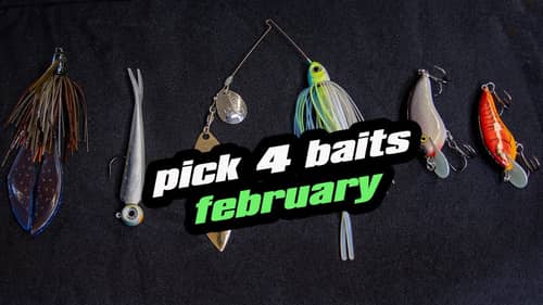 Pick 4 | Baits For February