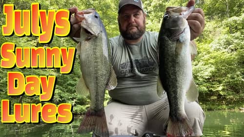 3 BAITS For The SUNNY DAYS of July