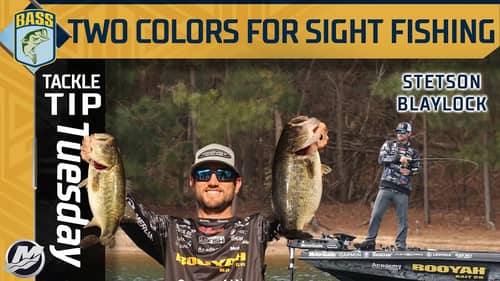Keep it SIMPLE with Spawning fish (Stetson Blaylock's GO-TO's)