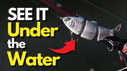 This Lure Finds Bass - Period | Basics of Hard Body Swimbaits