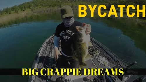 Crappie Fishing on the West Coast Part 2  w Vinnyman42