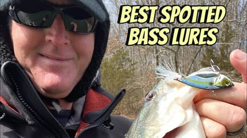Best Spotted Bass Lures