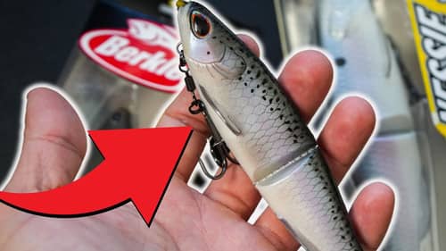 Search Magnets Fishing Videos on