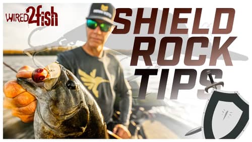 Wiggle Wart Fishing Shield Rock | Tips and Tricks