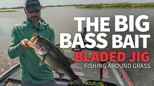 BLADED JIG Fishing around GRASS – When is it the RIGHT time?