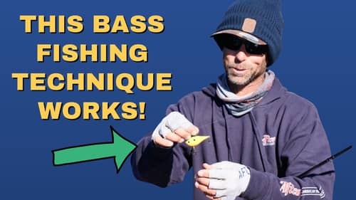 This BASS FISHING TECHNIQUE WORKS! (FALL FISHING)