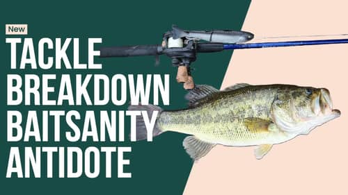 Baitsanity Antidote Glide Bait Cast to Catch and Tackle Breakdown