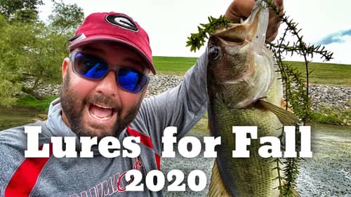 Lures that You Need for Bass Fishing in the Fall