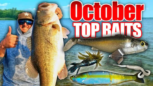 You'd be a FOOL to Fish WITHOUT these Baits in October! (Top 5 October Bass Fishing Baits)