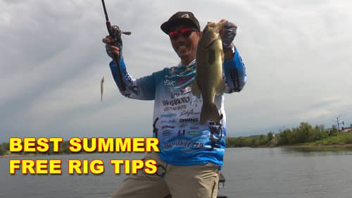 Summer Bass Fishing with the Free Rig with Shin Fukae | Bass Fishing