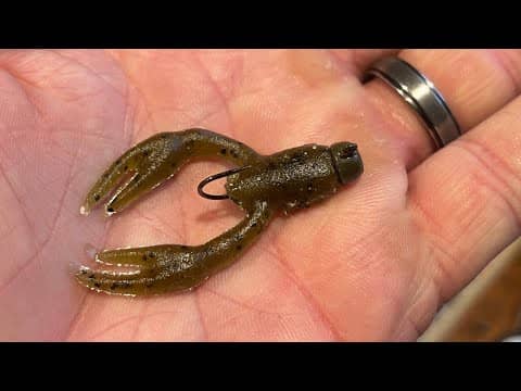 The Craw Tidbit…The Hottest New Lure In Bass Fishing