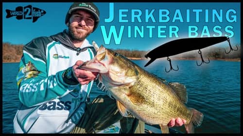Winter Jerkbait Bass Fishing Secrets on Mood and Position (Not where you think)