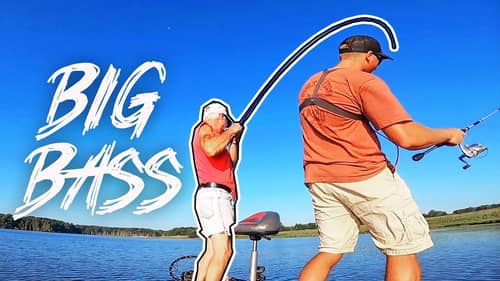 Crushing BIG BASS in PUBLIC FISHING LAKE! (Back In Stomping Grounds)