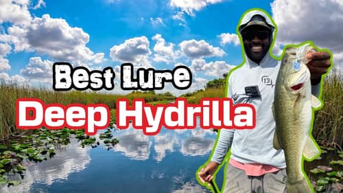 Fishing Deep Hydrilla In Florida