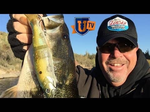 Suspended Bass : Locate & Catch Fish Offshore