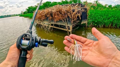 Secret Japanese Vibrating Jig wins MONEY In Fishing Tournament || James River Bass Fishing