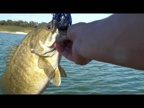 Topwater Collection of Fall Smallies