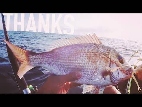 Search Red%20drum%20fishing Fishing Videos on