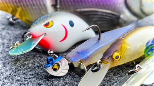 Search Blade%20Minnow Fishing Videos on