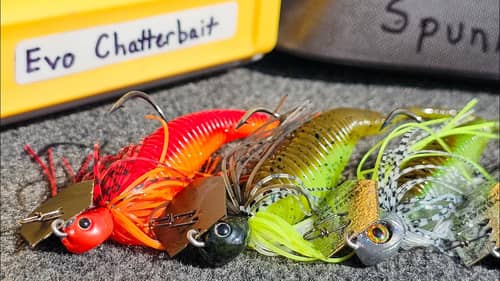 How to Fish a Chatterbait for Winter Bass 