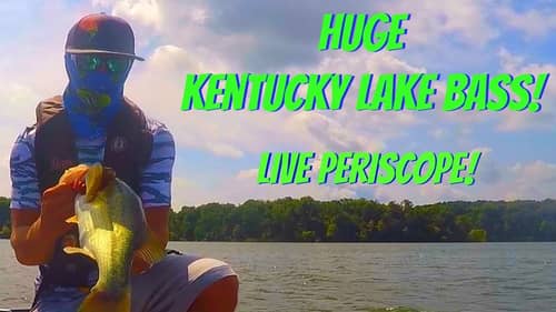 Huge Kentucky Lake Bass - Live on Periscope!