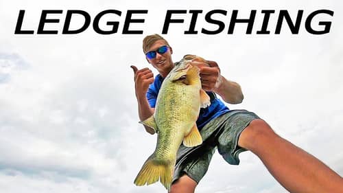 Ledge Fishing Lake Guntersville + JIG SALE!!! (BIG BASS)