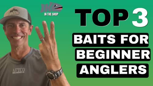 The Best Baits for Beginner Anglers!