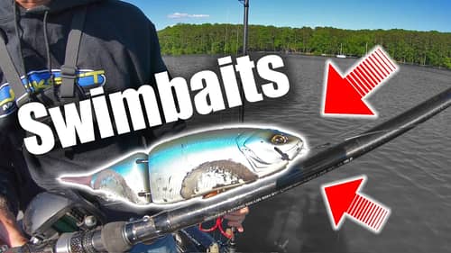 You've NEVER Seen a SWIMBAIT Fished Like THIS!!!  (Little Known FACTS)