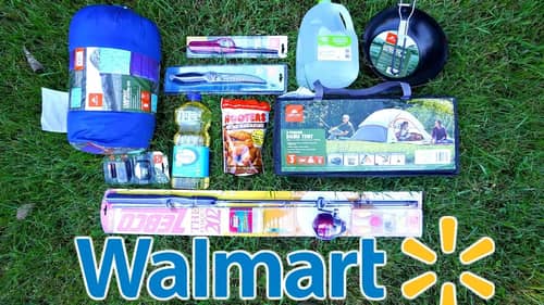 $100 Walmart Survival Challenge!!! (10 Items or LESS)
