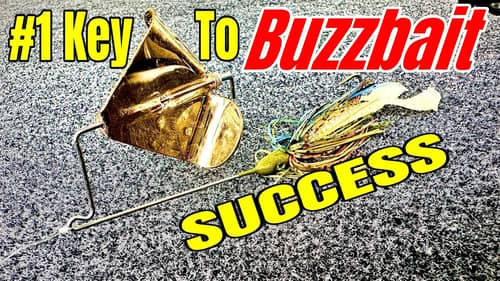 The MOST Important KEY to BUZZBAIT Success