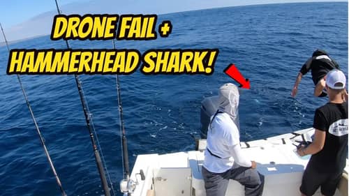 Drone Fail & Hammerhead Shark #BigTunaDreams Part 6