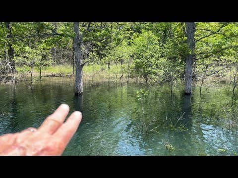 Best Techniques For Fishing Flooded Bushes And Trees…