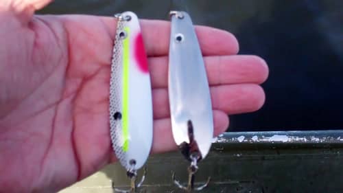 Flutter Spoon Bass Fishing with Lure Giveaway - Winter Techniques