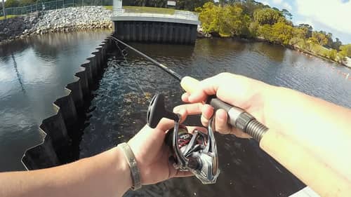 First Time EVER Fishing A Florida Spillway (Crazy Catch)