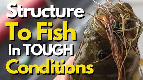 The STRUCTURE I Fish in the Toughest Conditions | Bass Fishing Tips