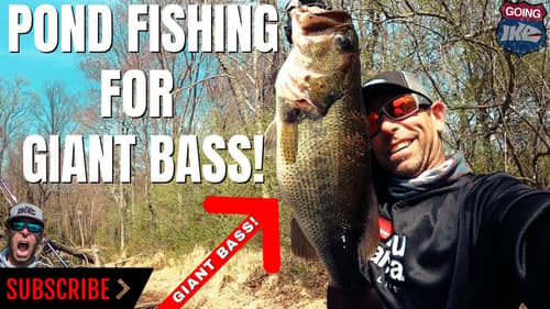 POND FISHING FOR GIANT BASS!